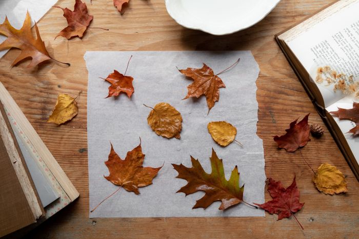 How to make dry leaves for decoration